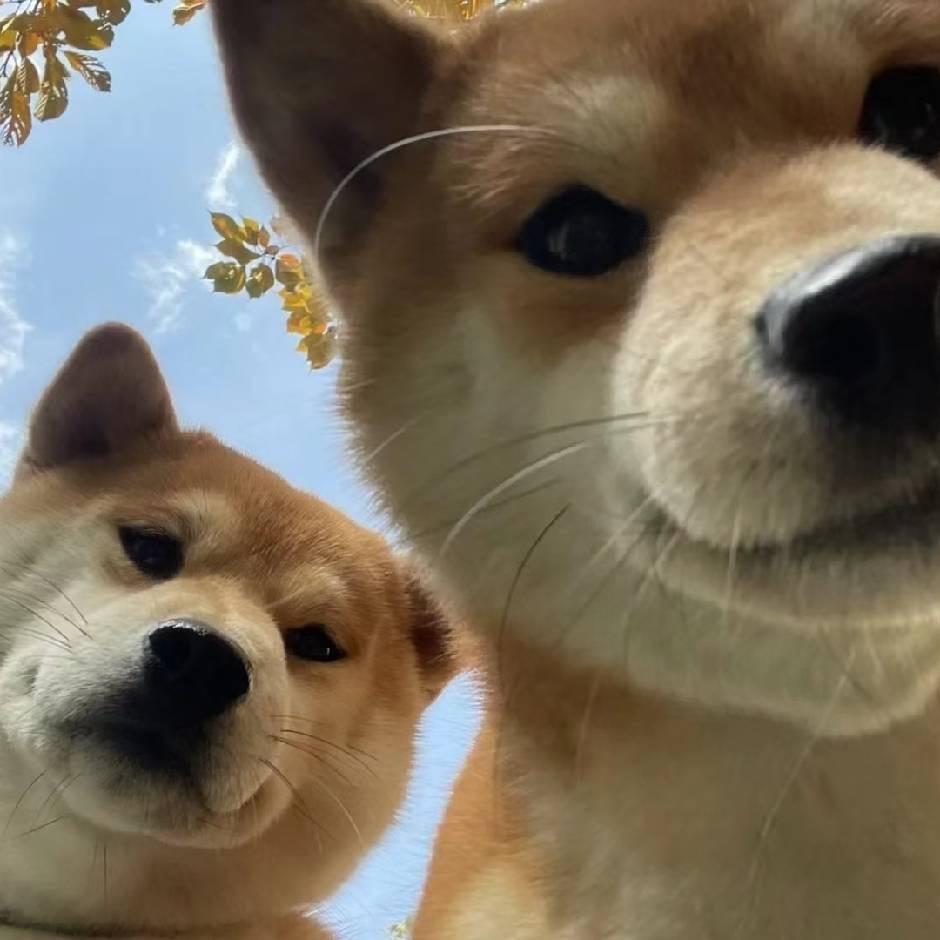 禹皓