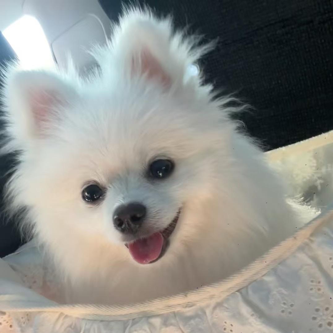 奶贝大王🐶🐶🐶🐶