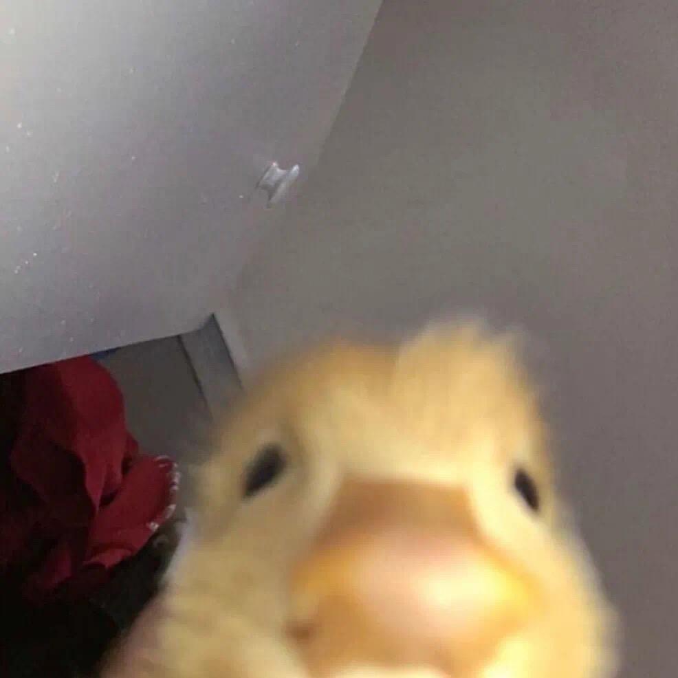 ᅟᅠ           ‍