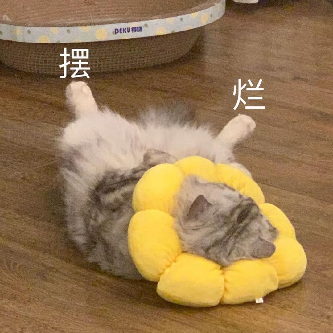 宇光体育