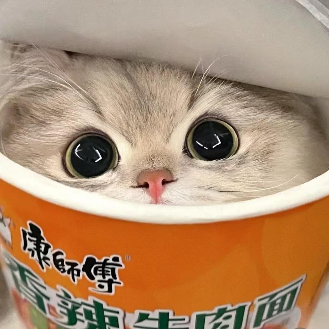 陪⁵久一点ᥫᩣ