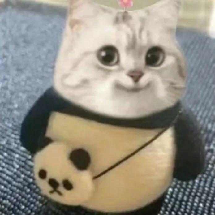 听ᨶ႒ᩚ说糖很甜এ⁵²º᭄এ