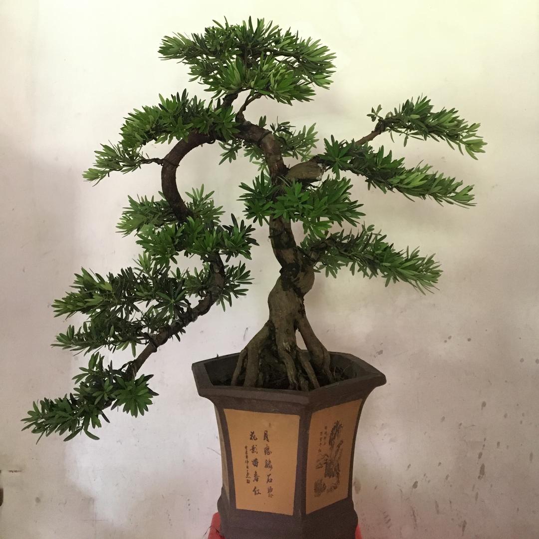 郭生