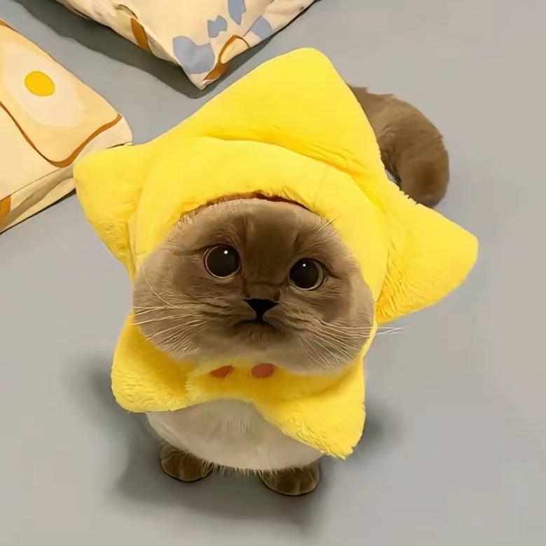 🥩の小洛子（退網）