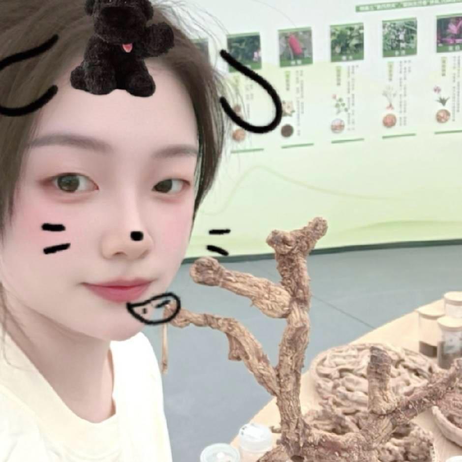 农业种植、乐小乐