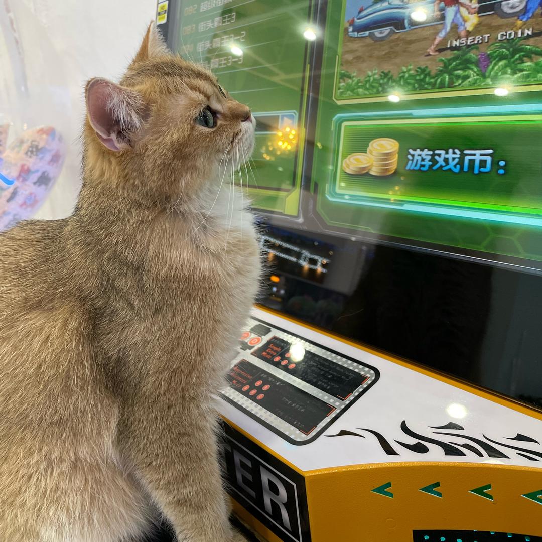 化化
