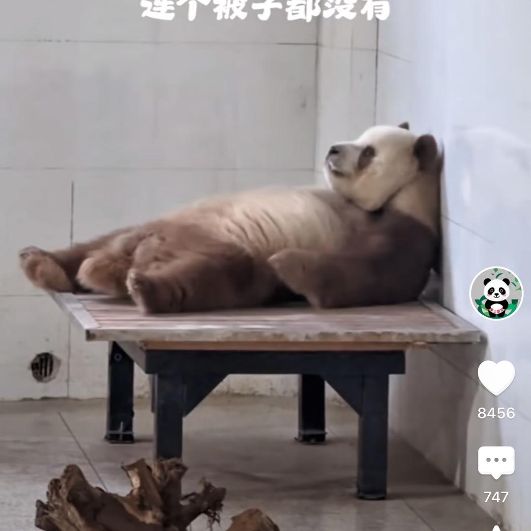 七仔