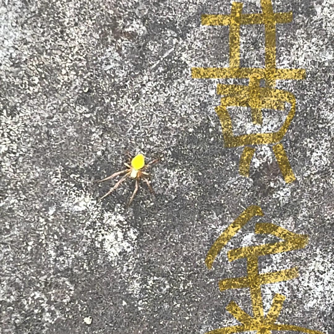 七月