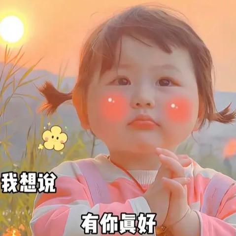 菜小羊