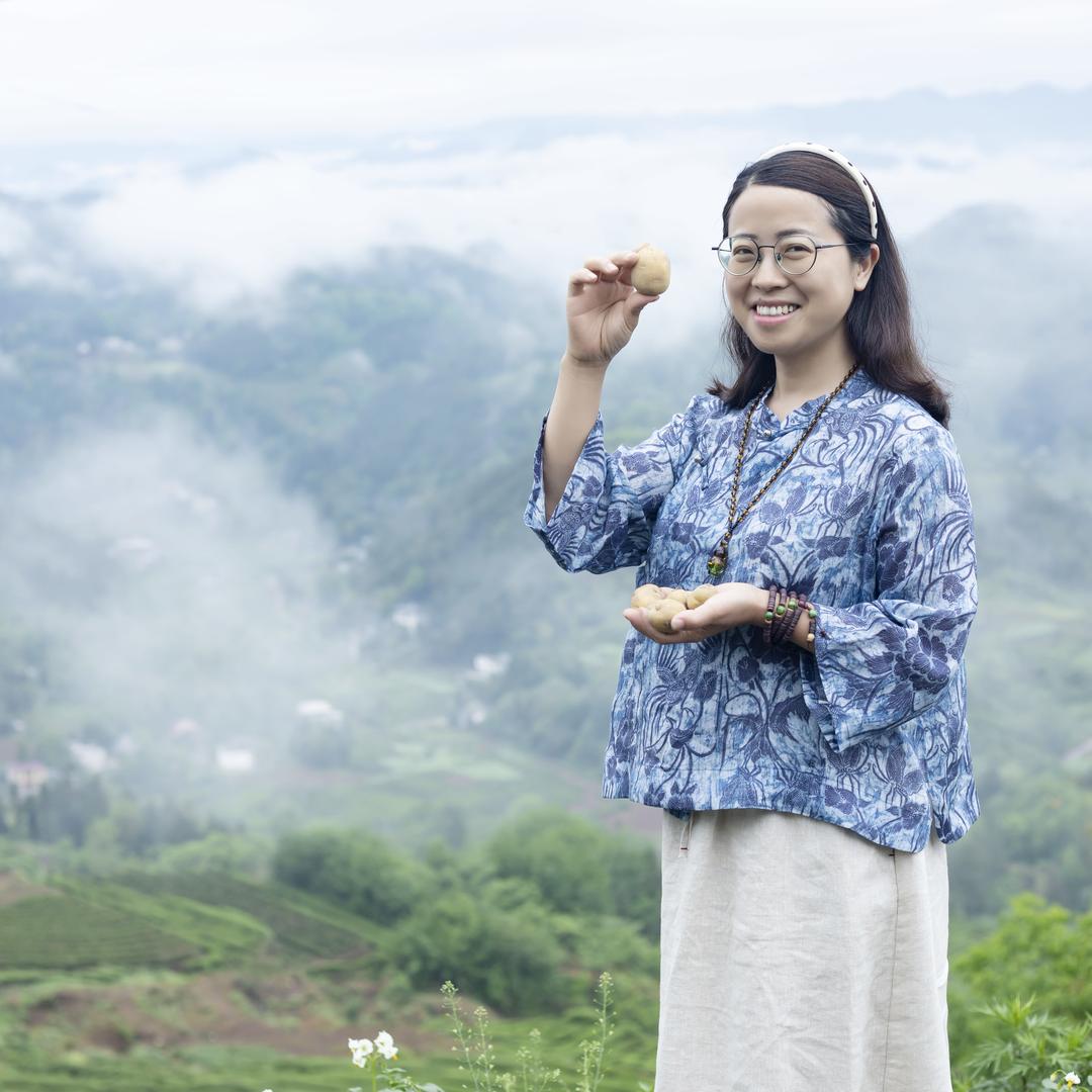 罗莉会长*恩施土豆