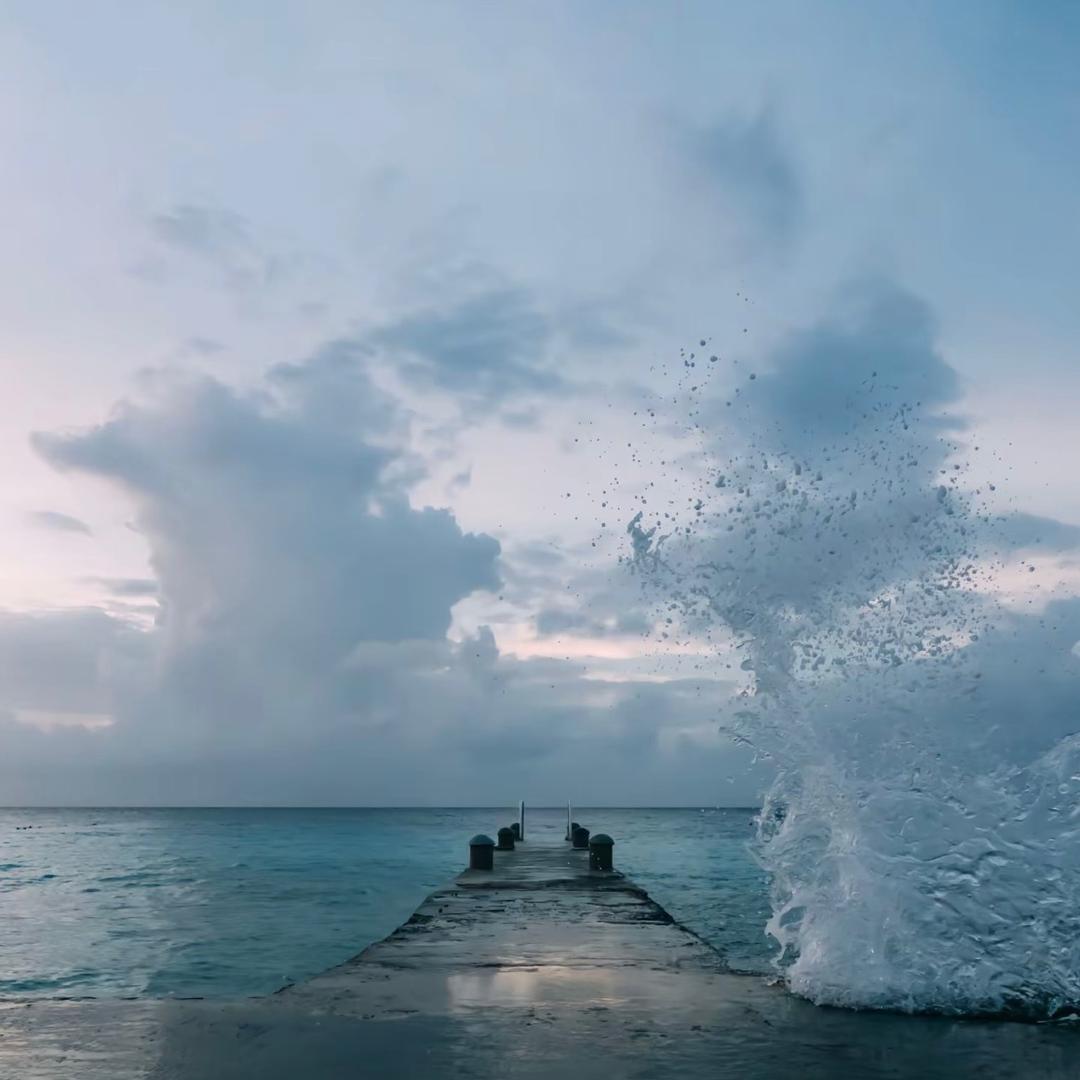 落秋的海