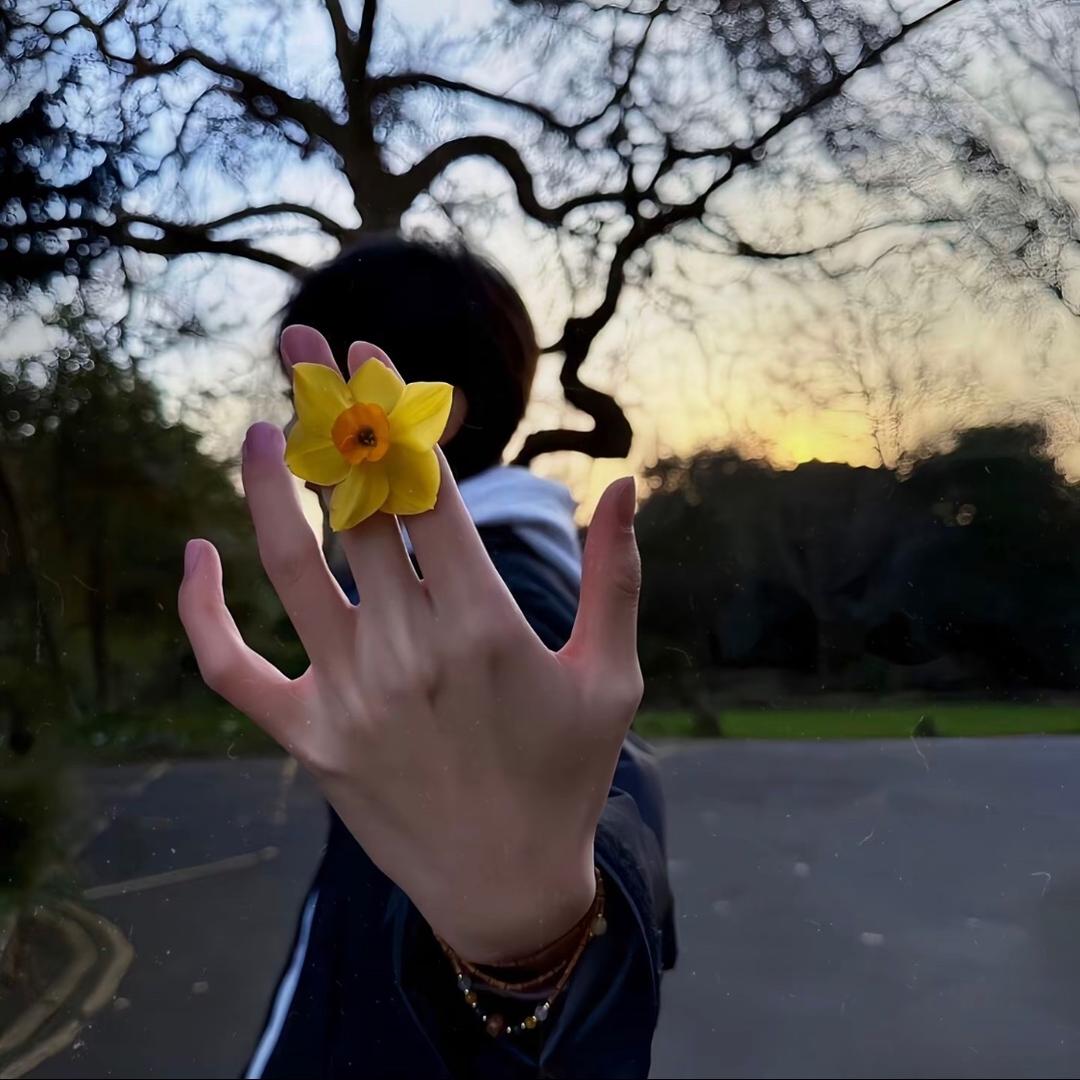 周星星