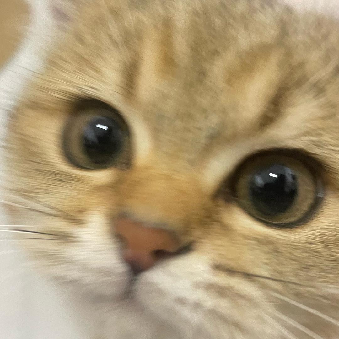 古娜拉黑暗之神