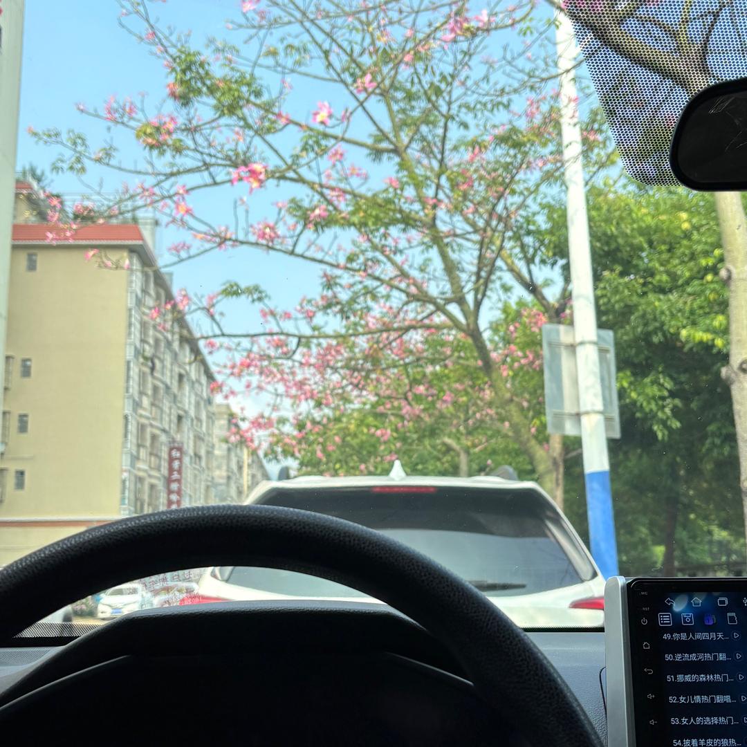 喜洋洋