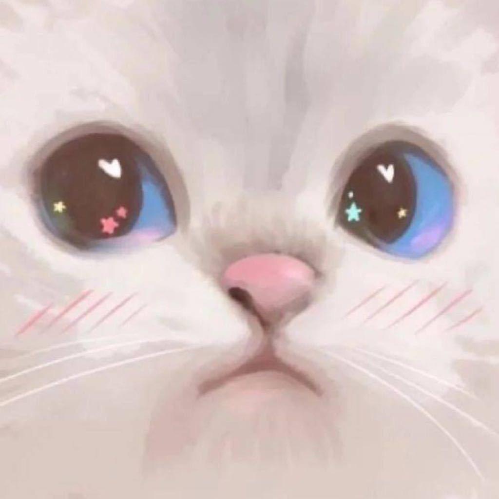 宅小韩QuQ