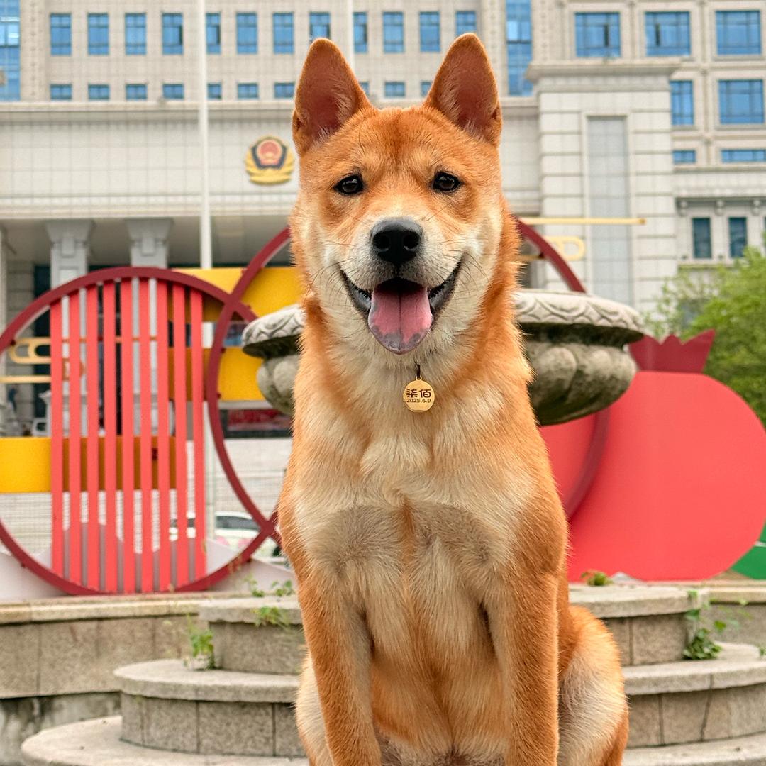 童姥的田园小跟班-戚佰🦮