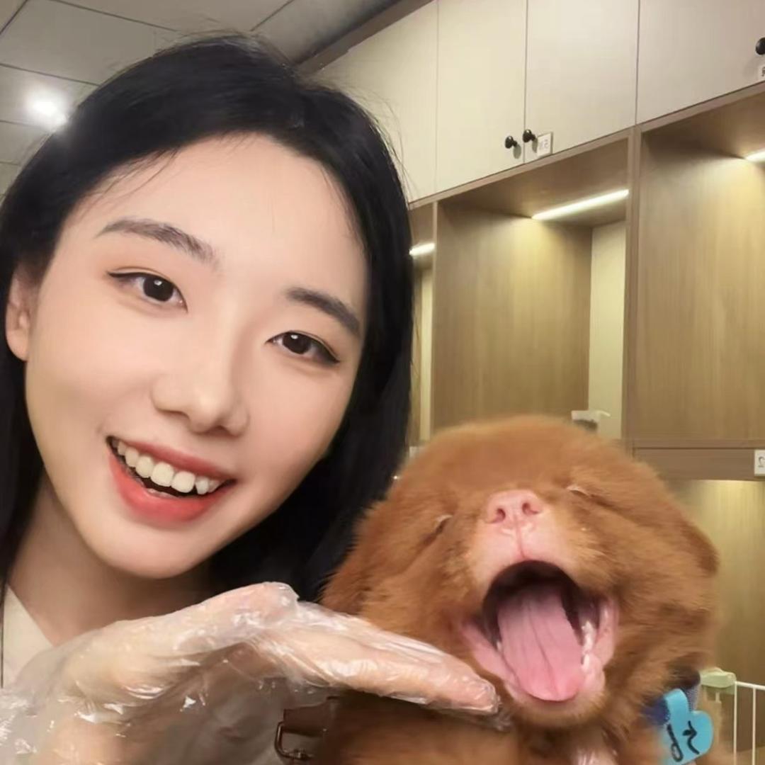 包包的小狗乐园（麦麦萌萌）