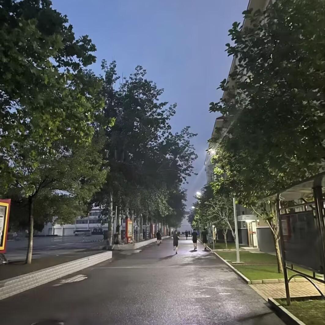 露入春雨
