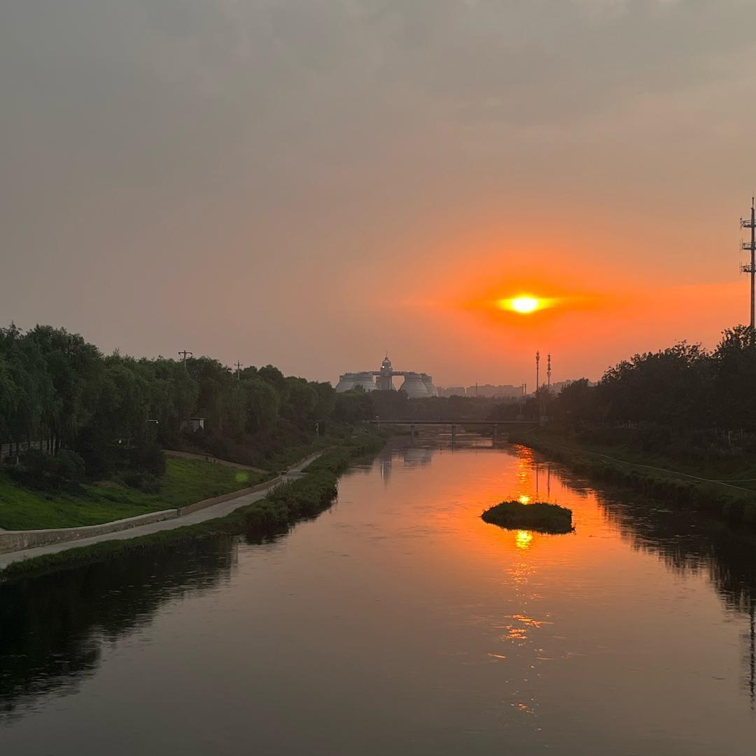 阳阳妈