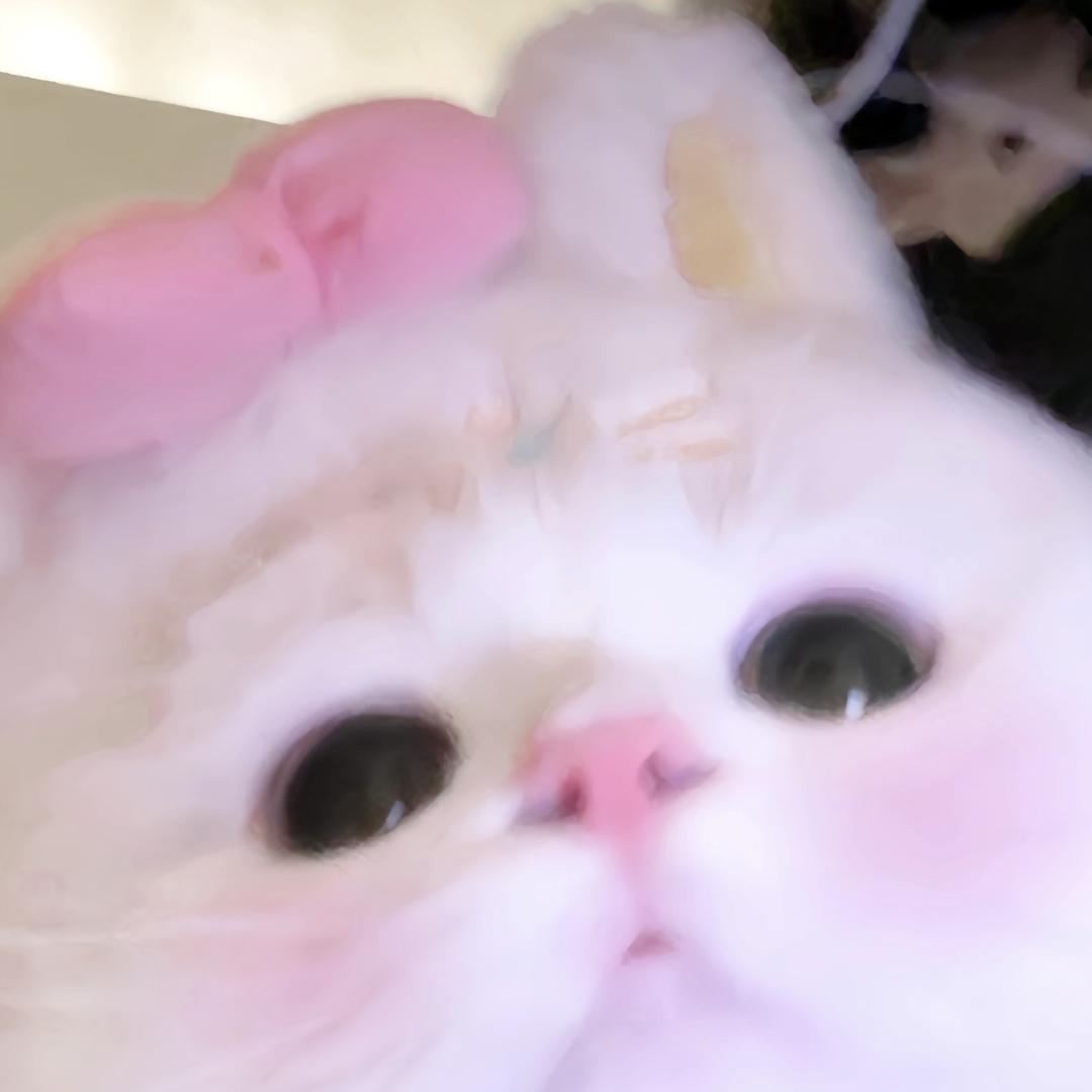 你狗叫什么