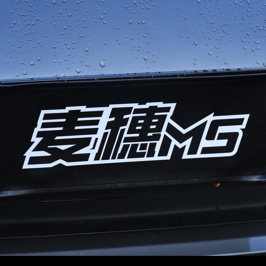 麦穗MS