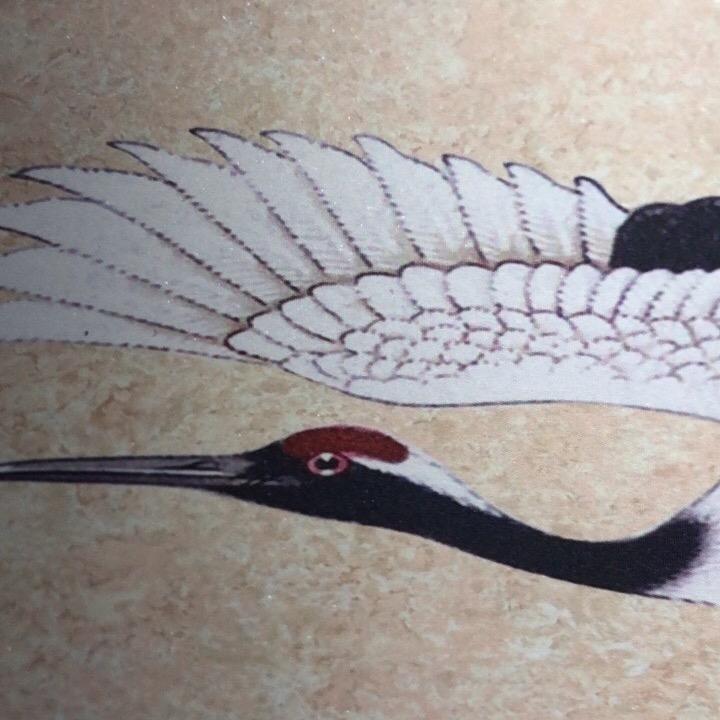 老牛哥和你