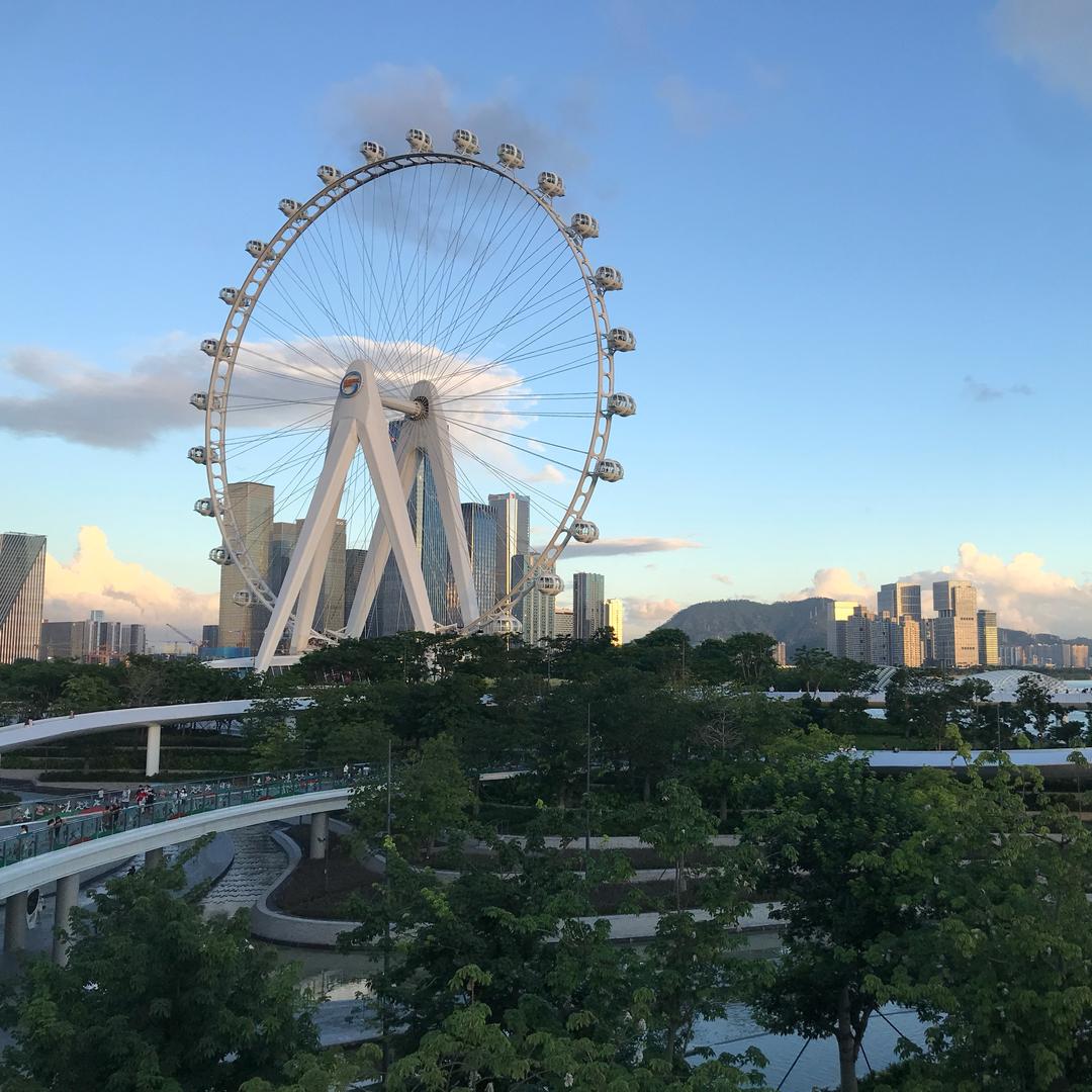 树里