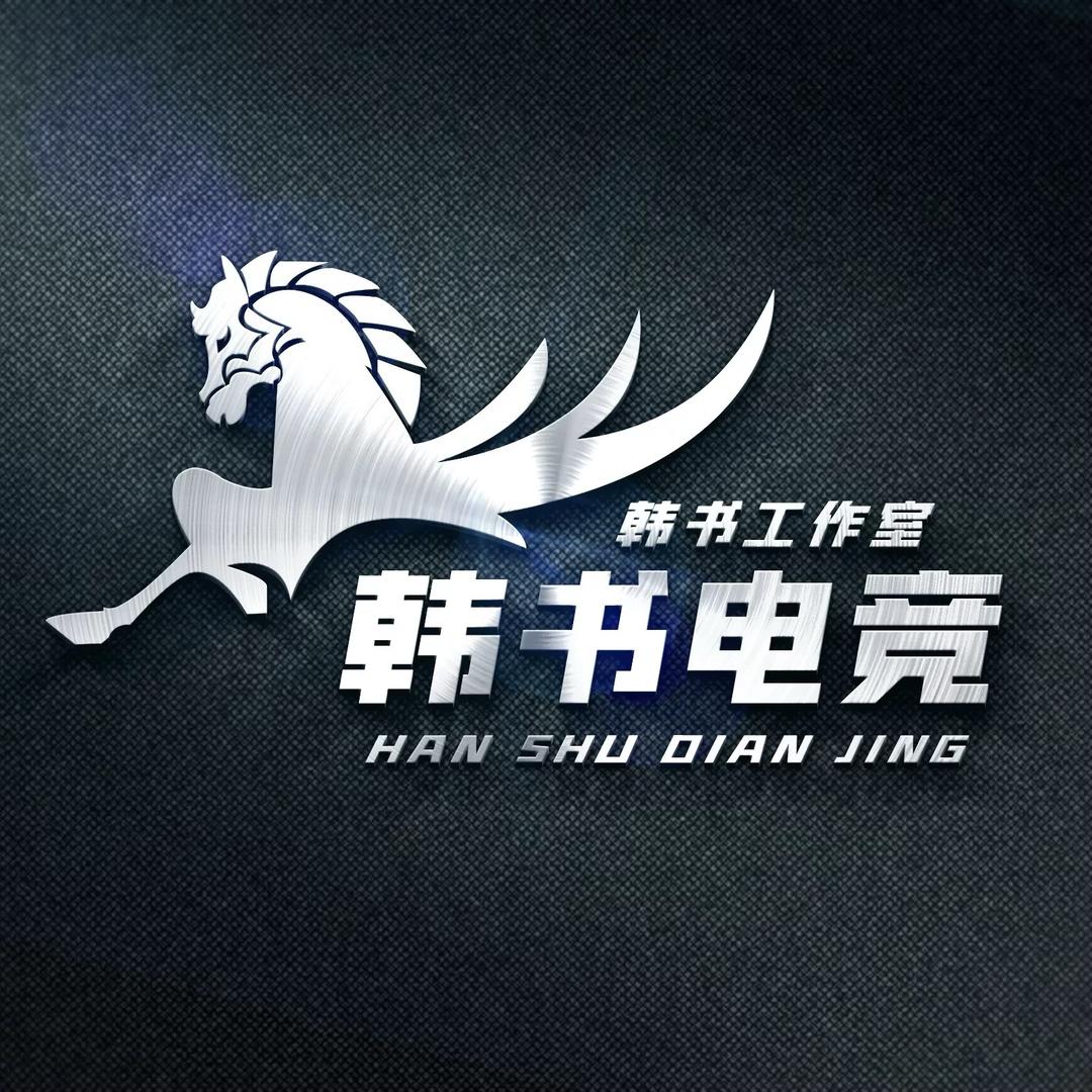 韩书电竞（王者工作室）
