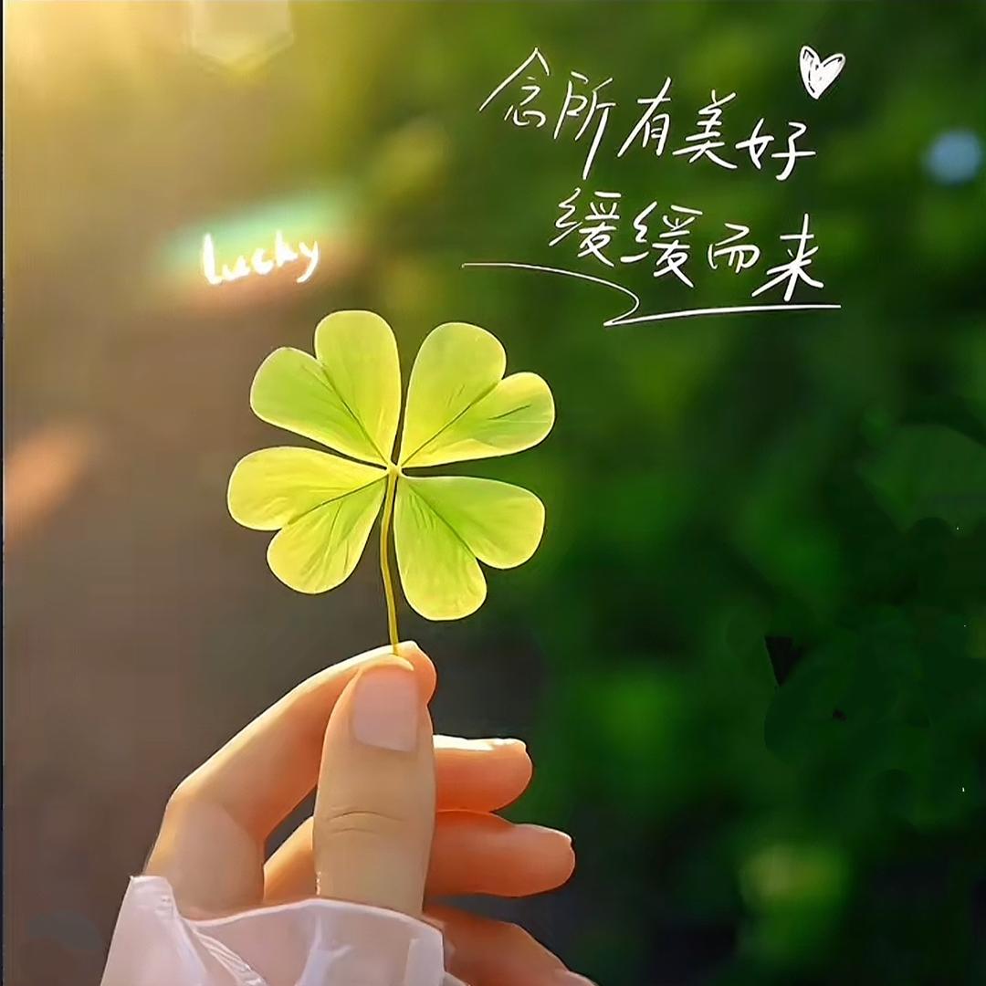 林樾🦩