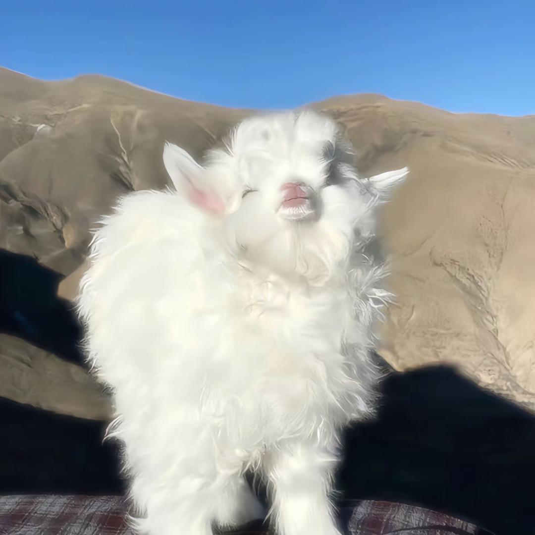 不知道改啥名儿