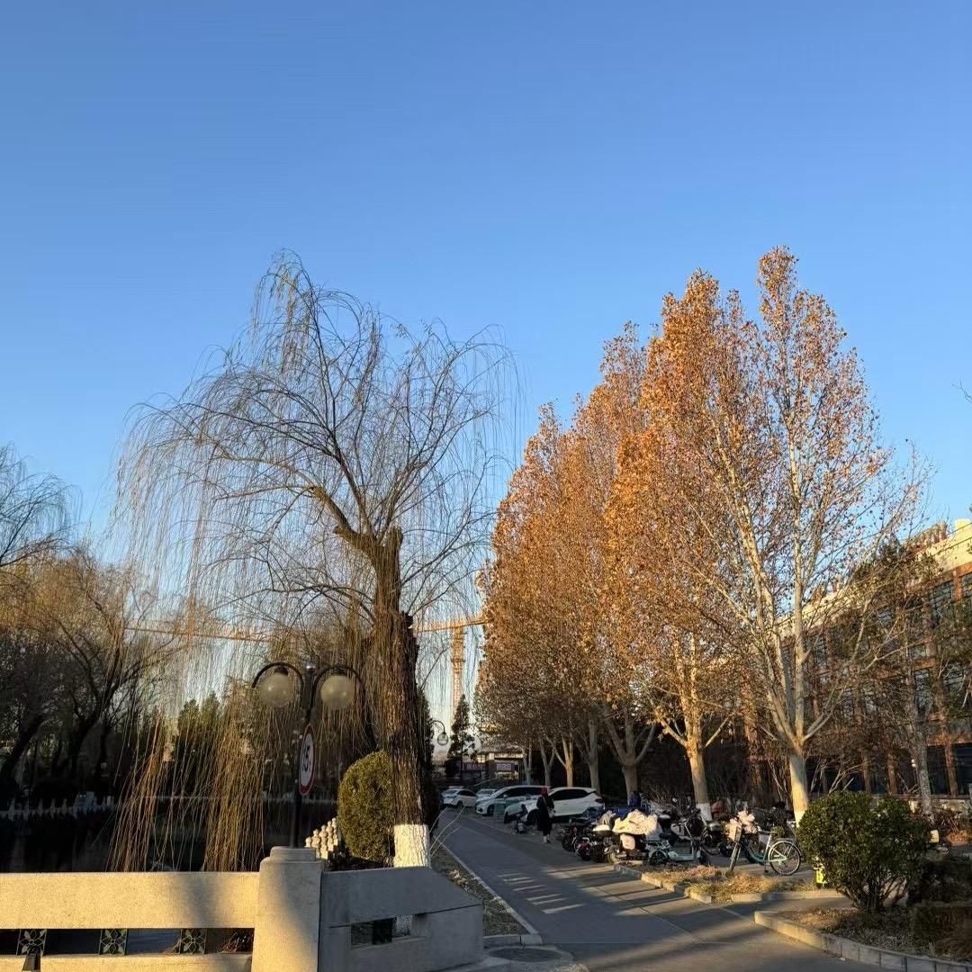 泡菜国羚念二哥