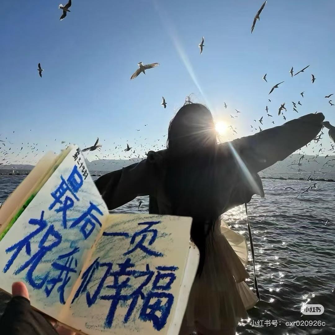 楠楠到处跑