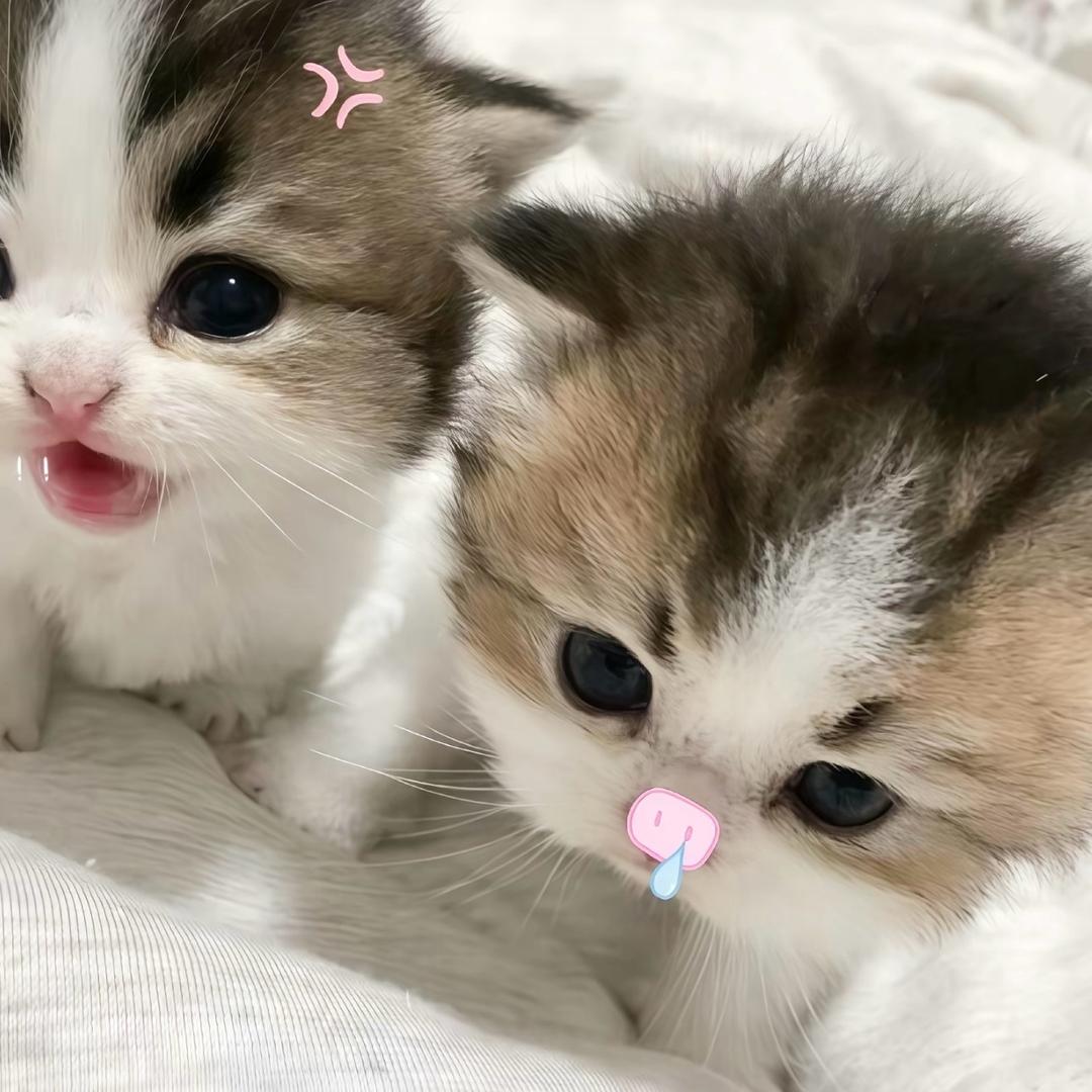 小欣控