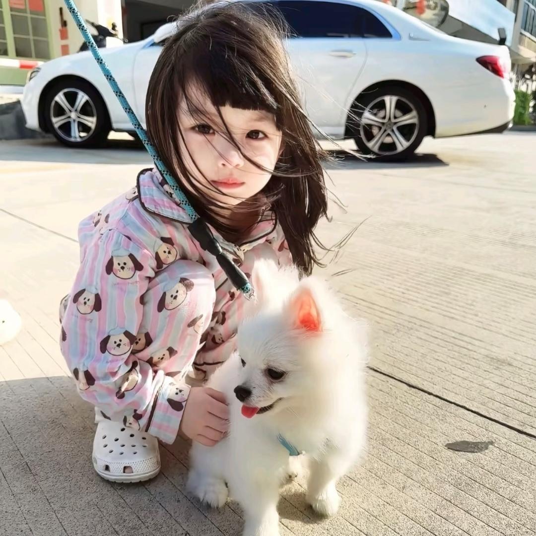 斩情