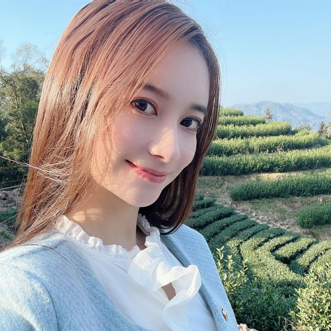 迪丽白茶供应链