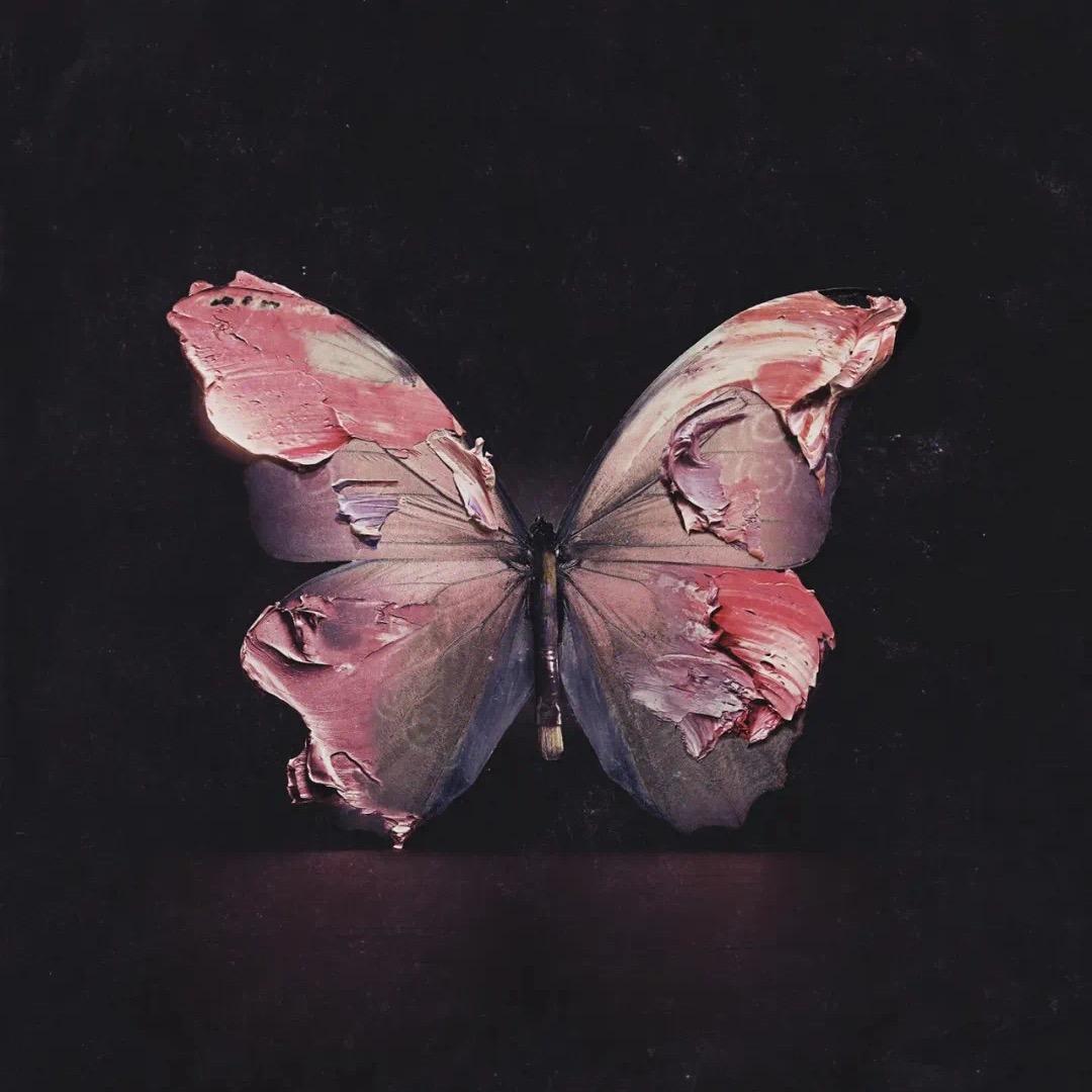 ღ҉小柒ღ҉爱宁