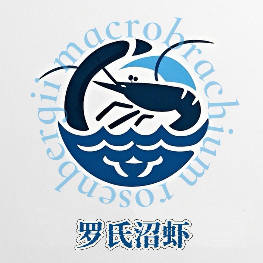 养沼虾的北方小妹儿