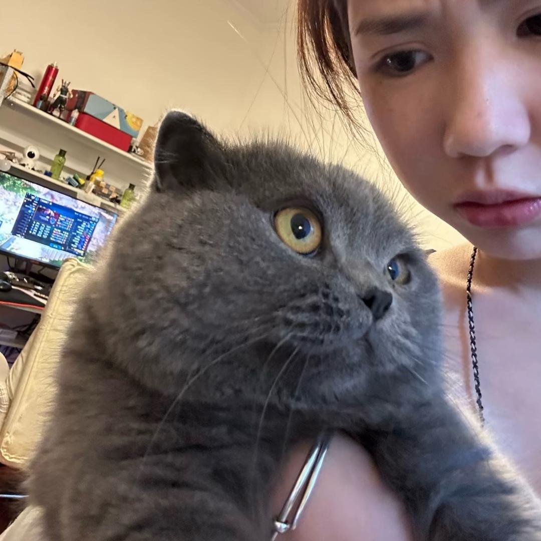 川岛惠子