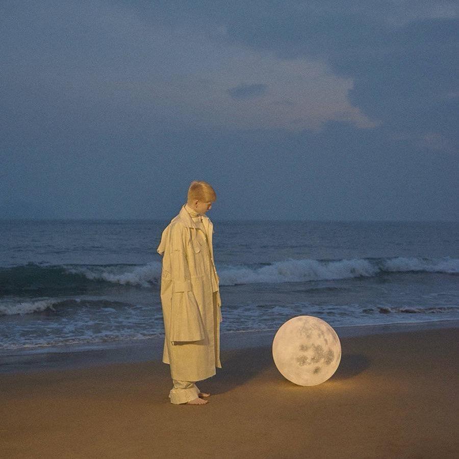 晓鹿知星