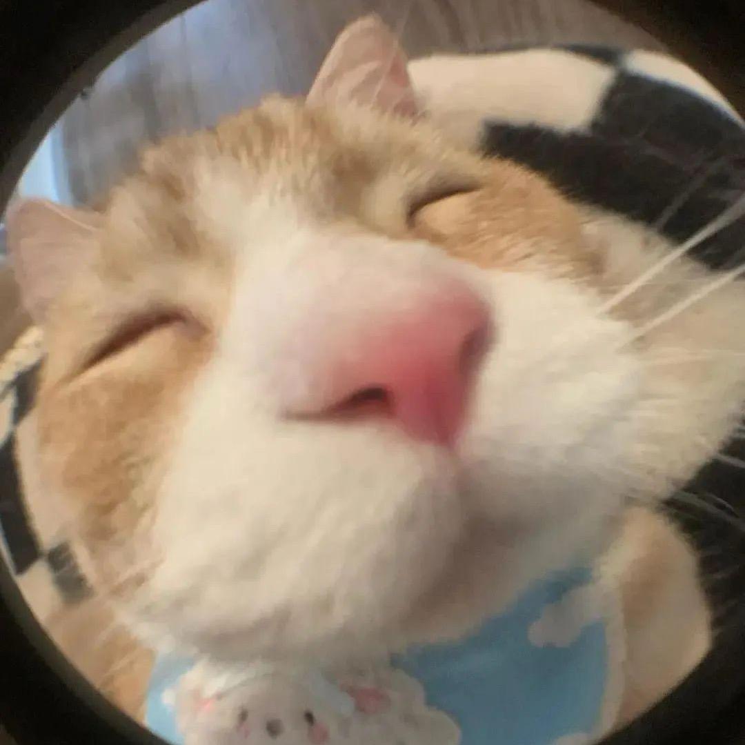 中