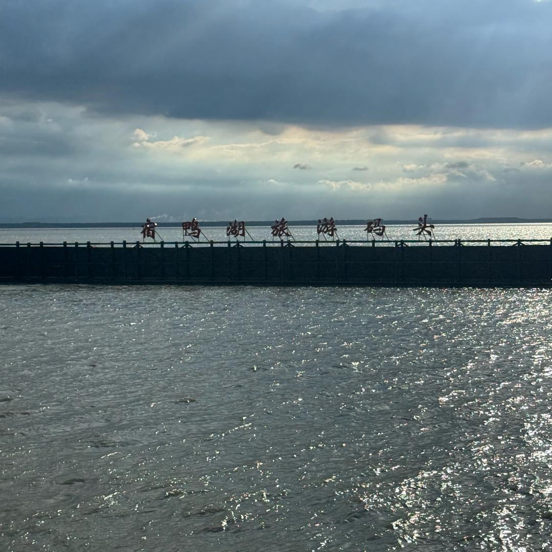 ✌︎︎• ◡•𝕪𝕖𝕖𝕖