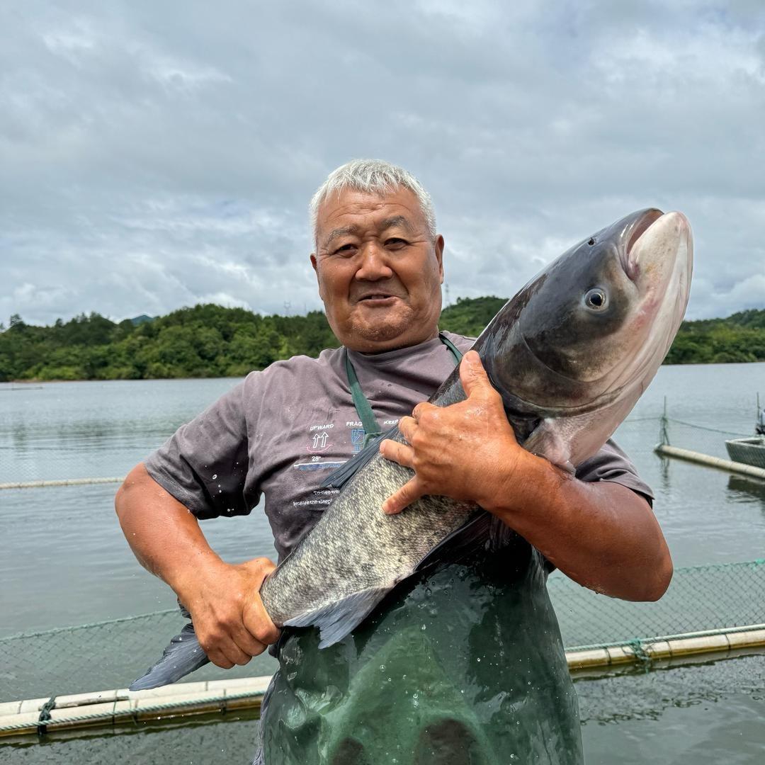 鱼的搬运工·爱上千岛湖