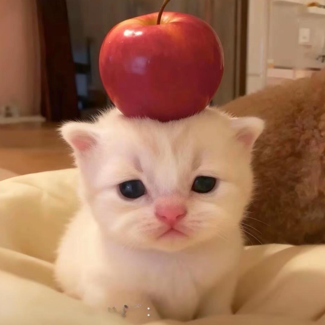 不太喜欢穿内裤的男生感觉太内向