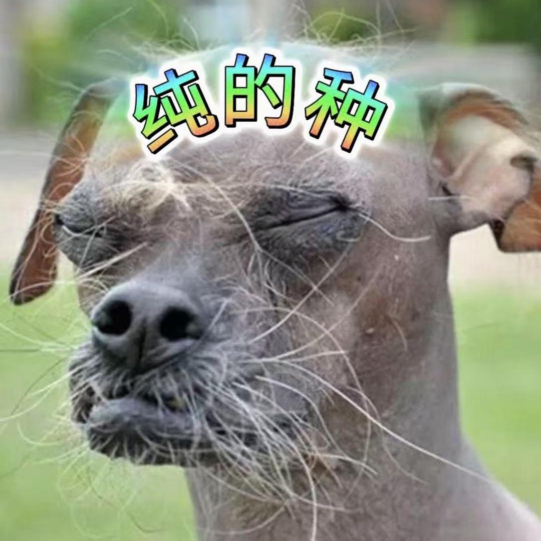 啰啰狗