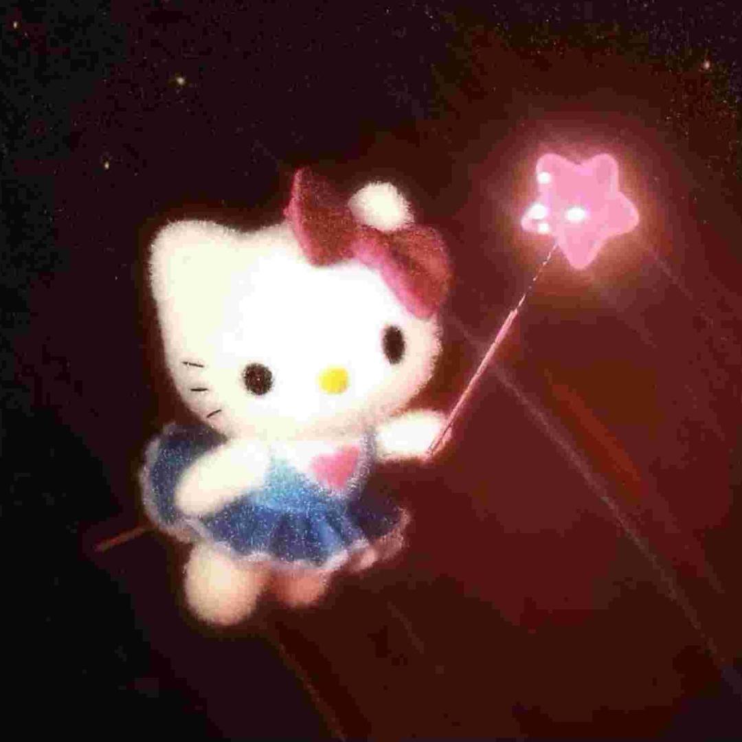 是的我有一只猫