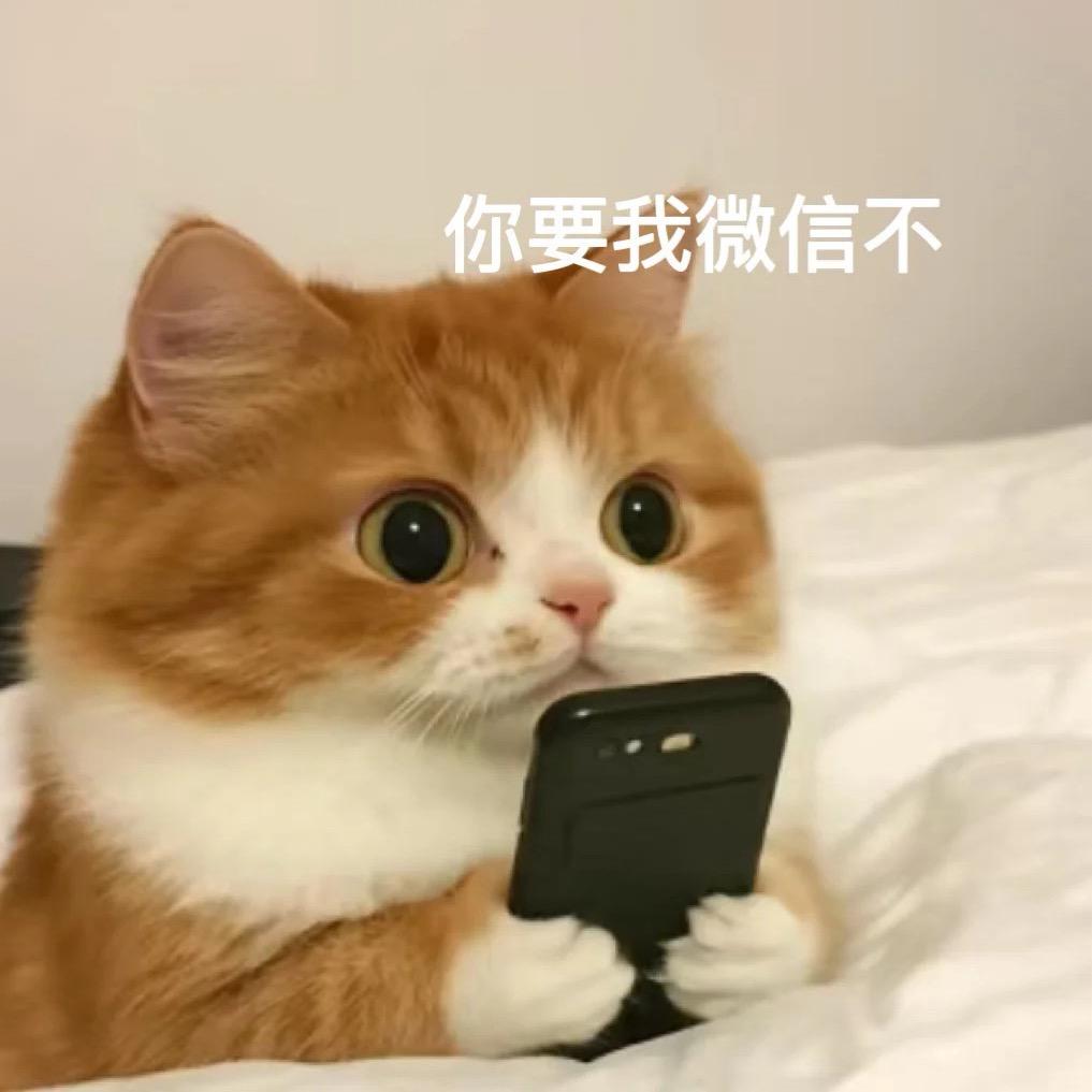 ࿐江ཻ༗边钓鱼࿐