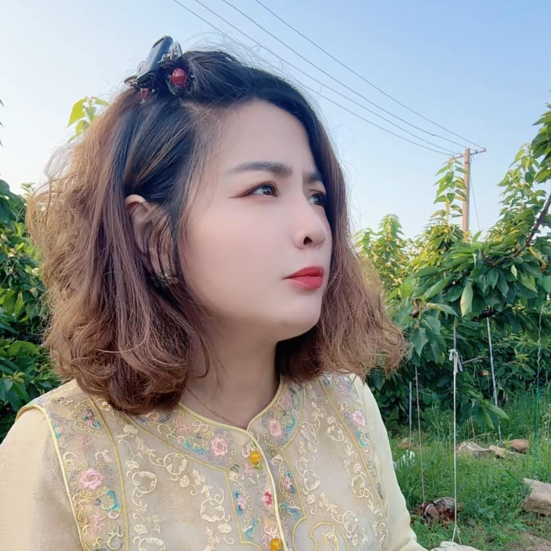 小洋的苹果日记