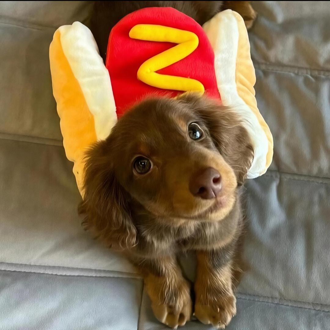 天选之房产经纪人