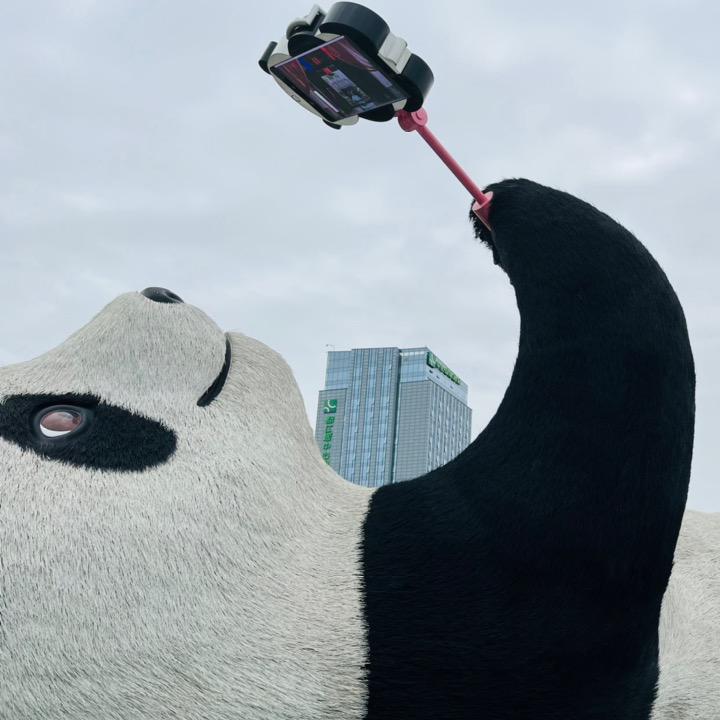 小黄同学呀
