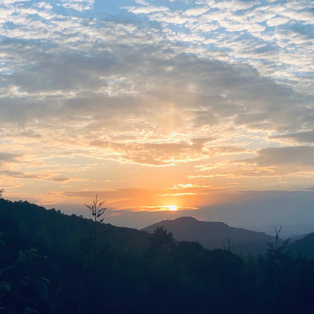 雷雷杰尼威尼(文庙街店)